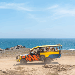 Aruba Safari Adventures